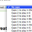 The capo feature lets you pick the key you want to play in